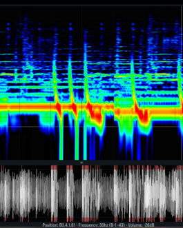 Musique Personnalisée